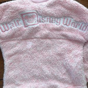 Disney Parks spirit jersey